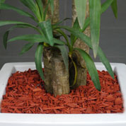 copeaux de bois colores - rouge